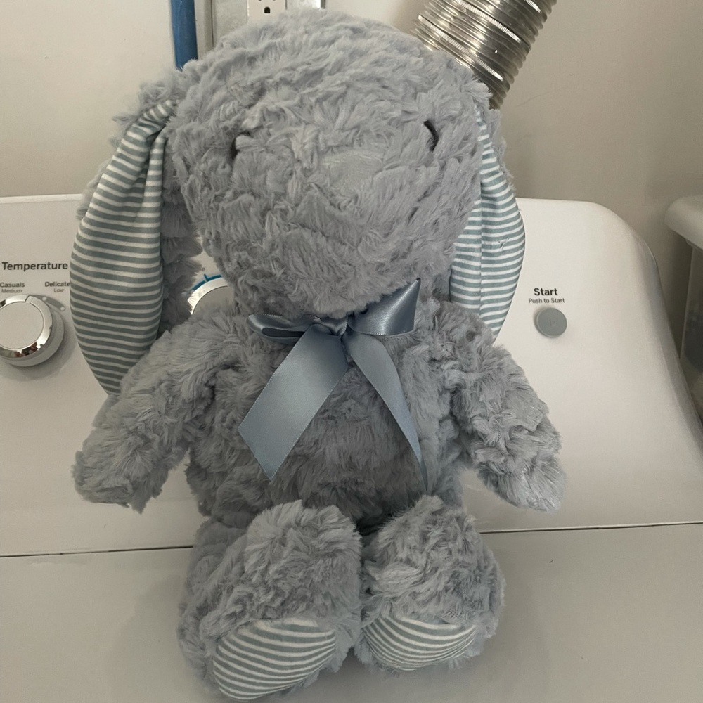 Blue Teddy Bear
